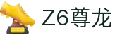 Z6·尊龙「中国」官方网站
